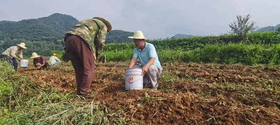 long8-��8(����)Ψһ�ٷ���վ