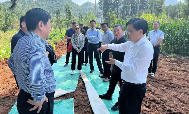 long8-��8(����)Ψһ�ٷ���վ