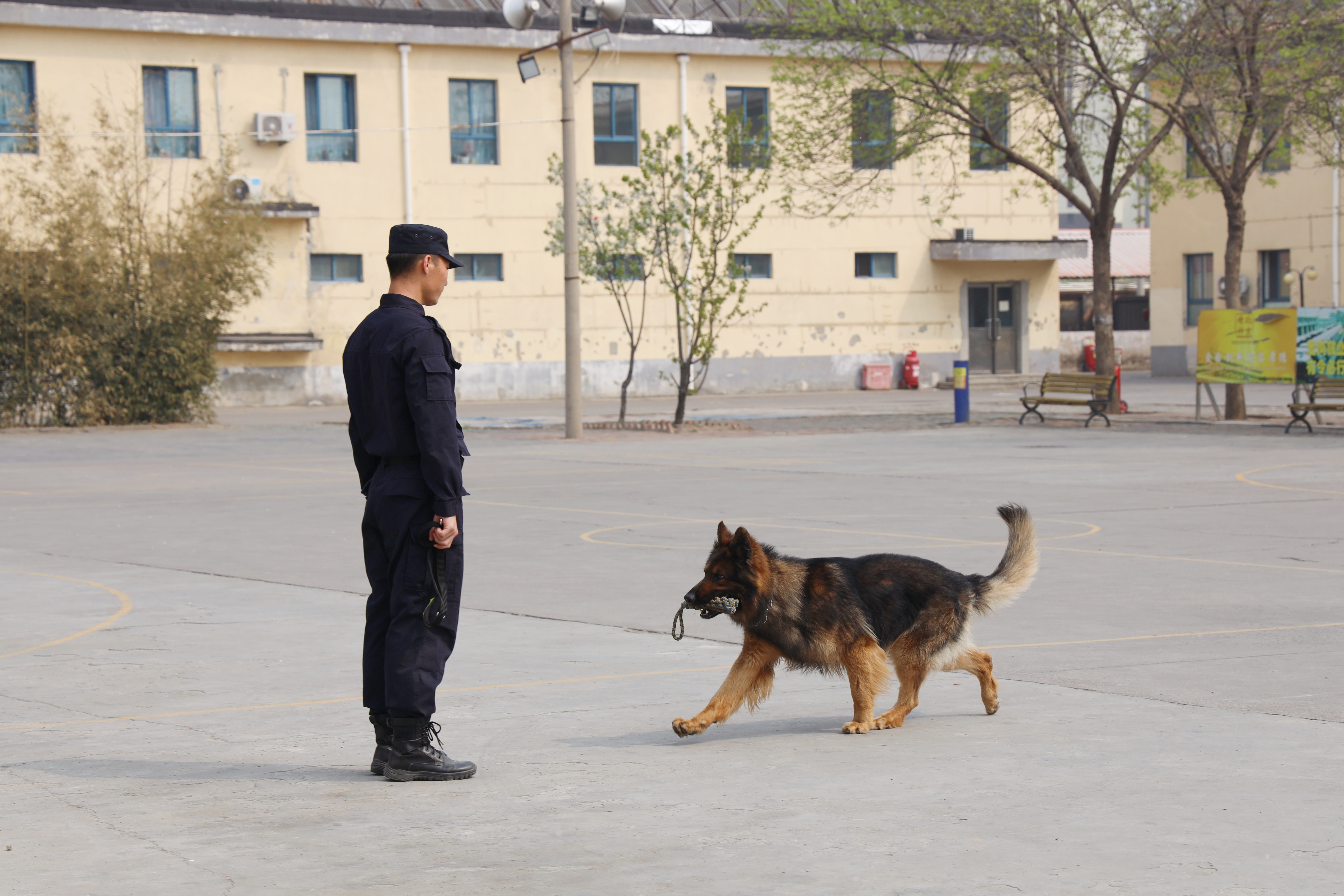 long8-��8(����)Ψһ�ٷ���վ